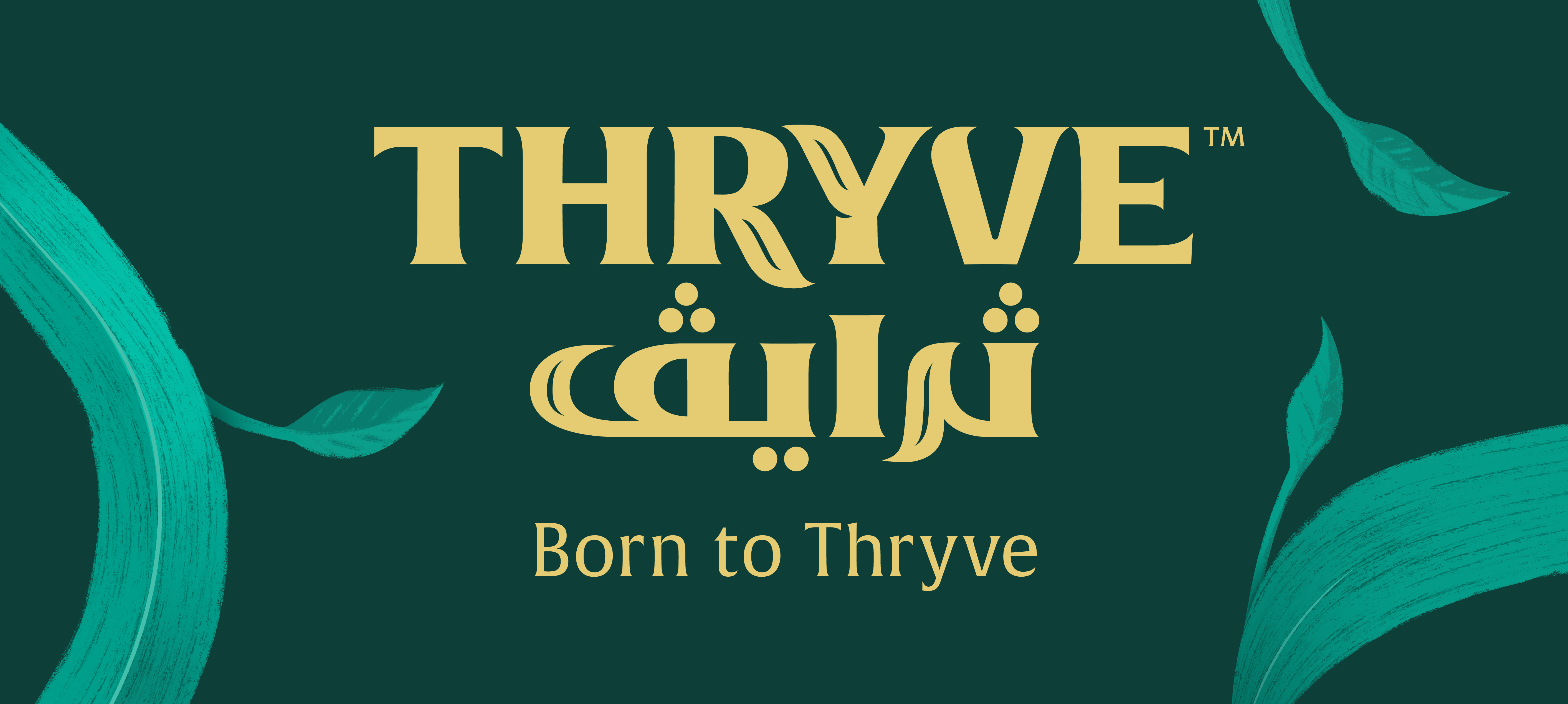 Thryve Horeca